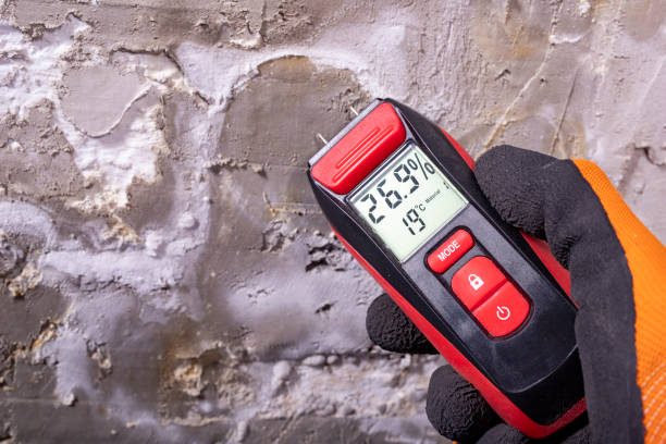 Best Fast Mold Removal  in Streator, IL