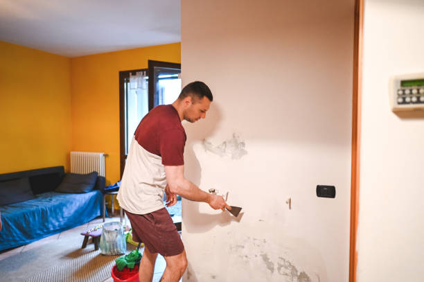 Best Commercial Mold Removal  in Streator, IL